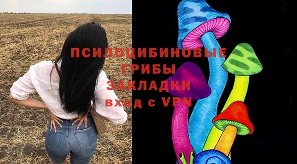 хмурый Балахна