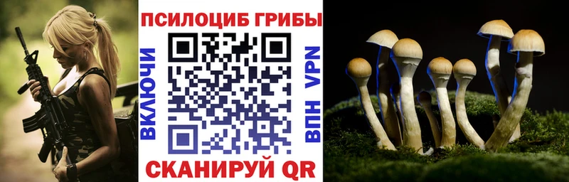 Галлюциногенные грибы Psilocybe сколько стоит Губкинский